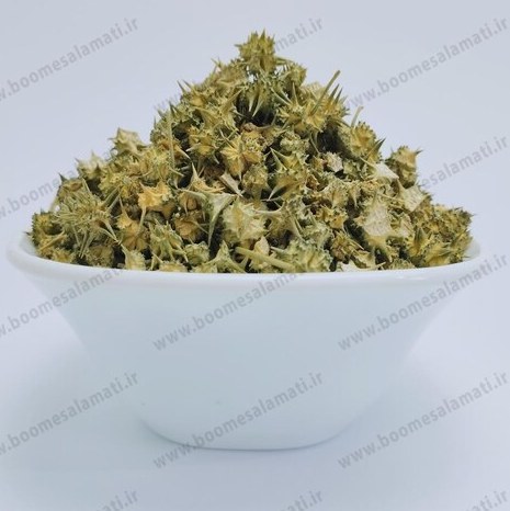 خارخسک ( Land Caltrops ) ( Tribulus Terrestris ) 200 گرم