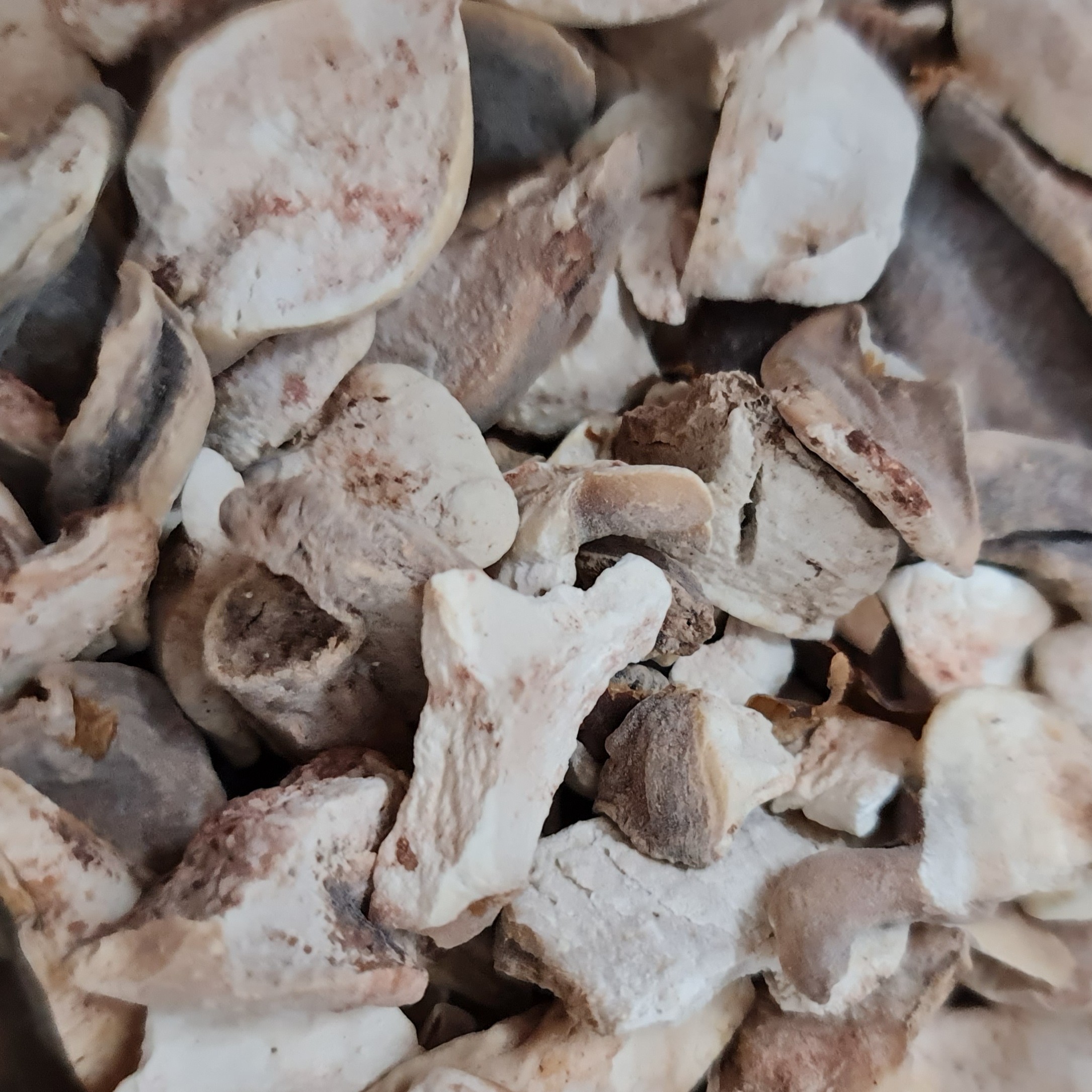 سورنجان یا گل حسرت یا گل حسرتی   هر 100گرم 64 هزار تومان