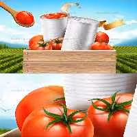 وکتور رب گوجه با رنگ طبیعی | گرافیک با طعم تربچه