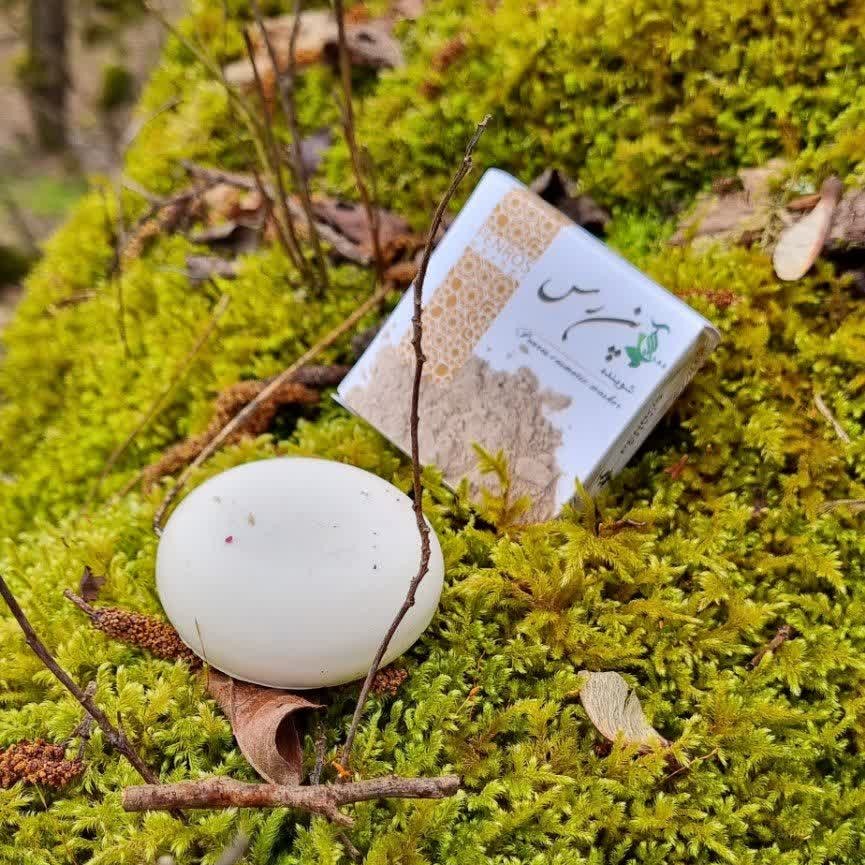 پن خاک رس (شوینده صورت)