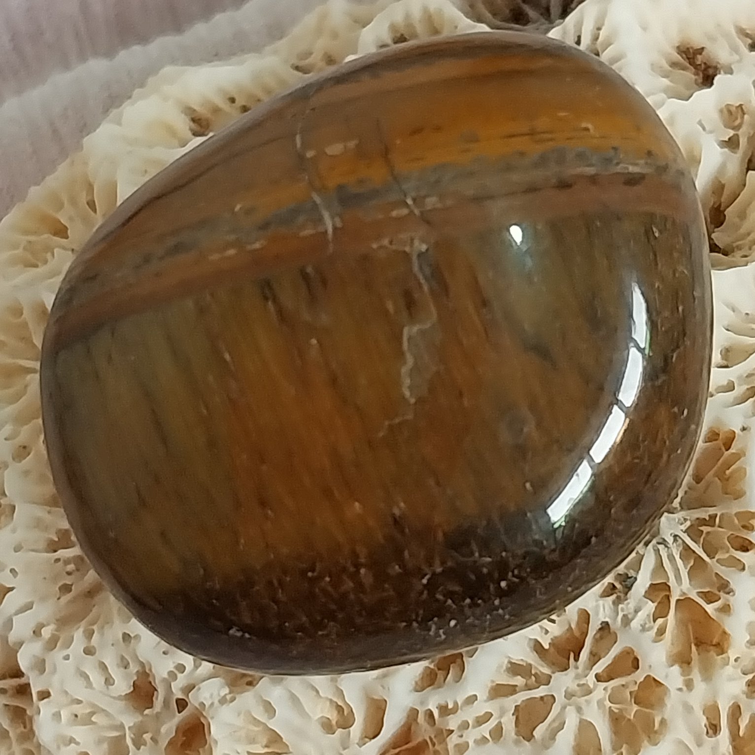 راف چشم ببر تمام پالیش اصل و ناب