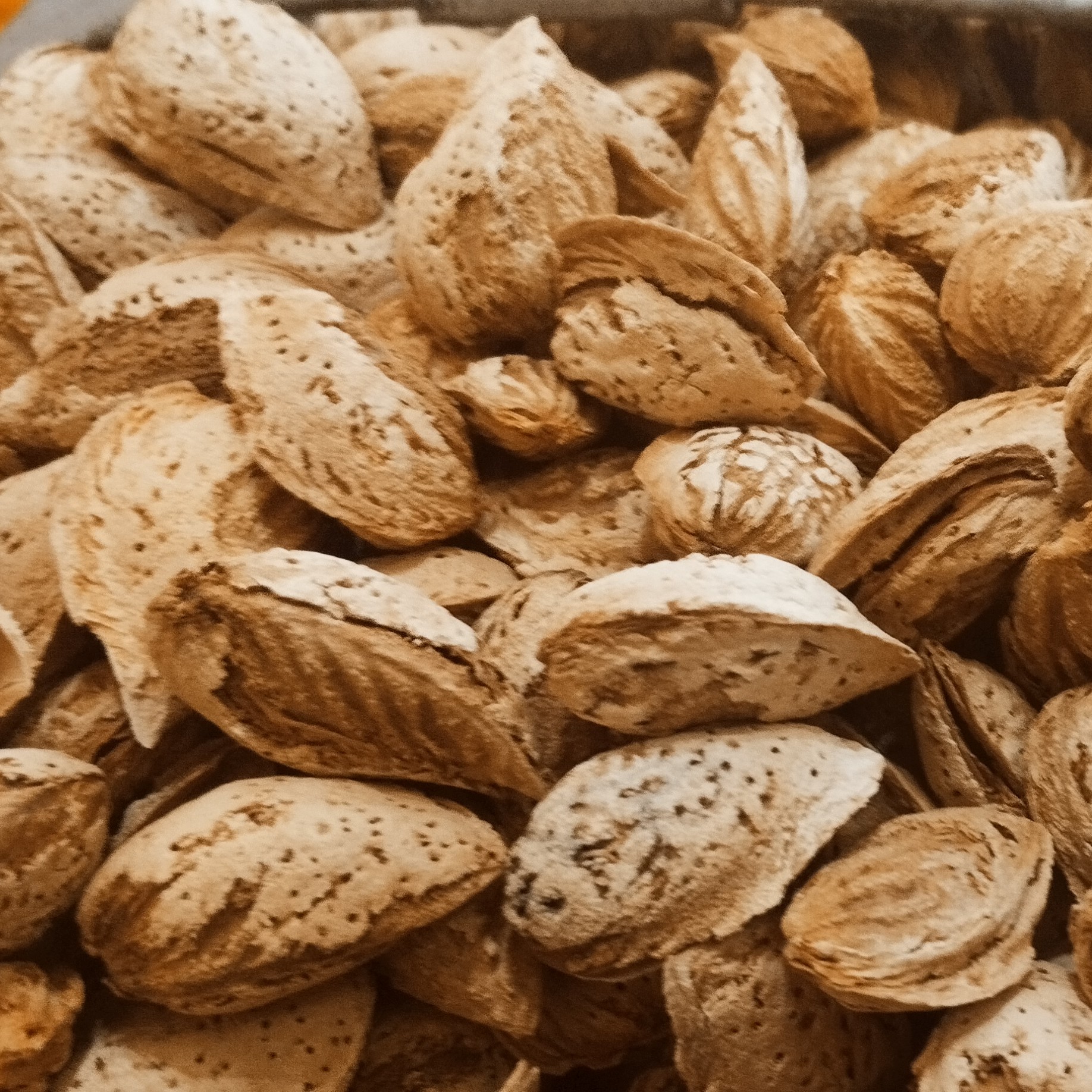 بادام دوپوست کاغذی یک کیلویی