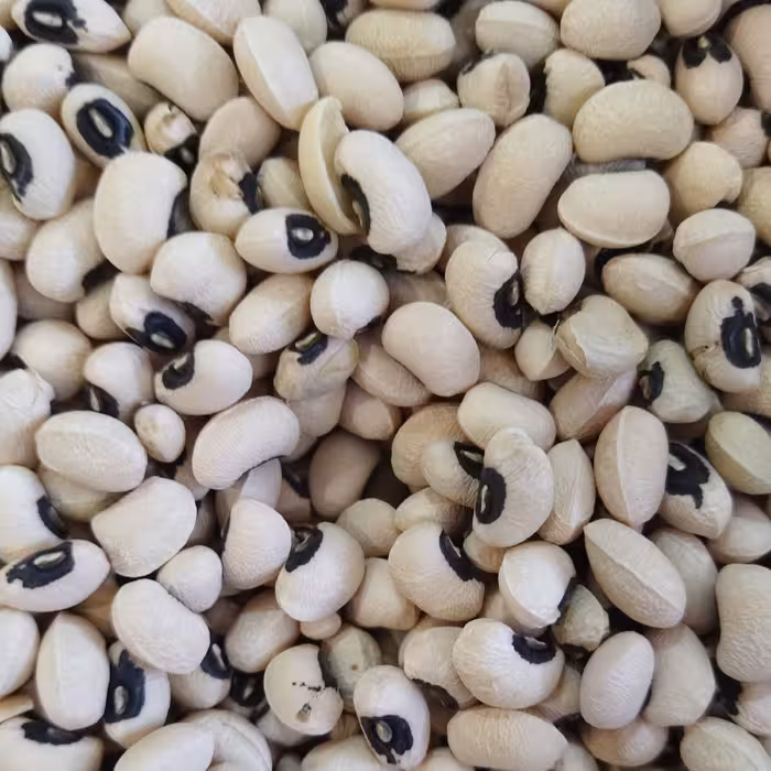 لوبیا چشم بلبلی عطاری رضوان 