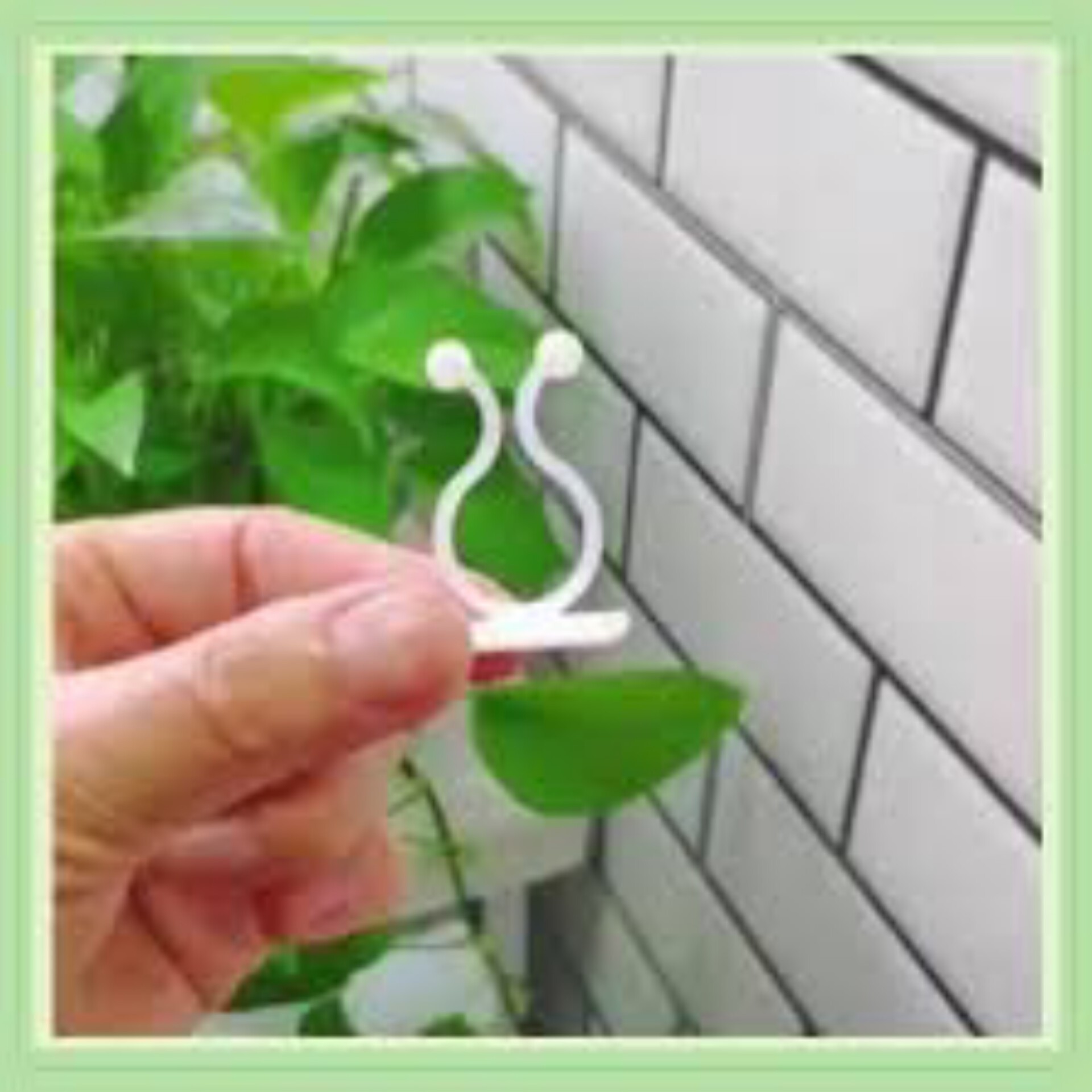 گیره پتوس 1 عددی (پس کرایه)