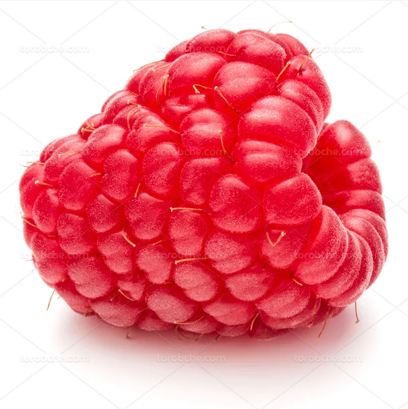 عکس تمشک قرمز تازه | گرافیک با طعم تربچه