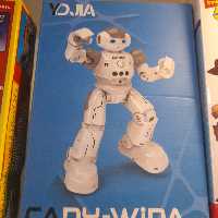 ربات کنترلی انسان نما 