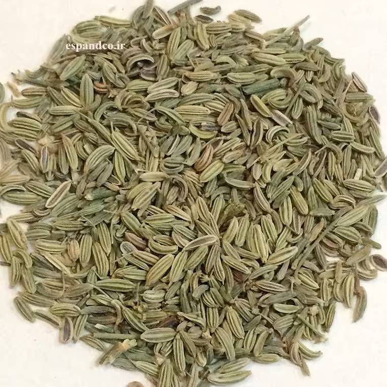 رازیانه (50 گرم بذر خشک) Foeniculum vulgare