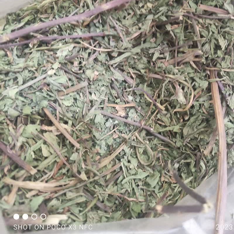 برگ کاسنی خرد شده 100 گرم دردمفاصل .رماتیسم .تقویت اعصاب