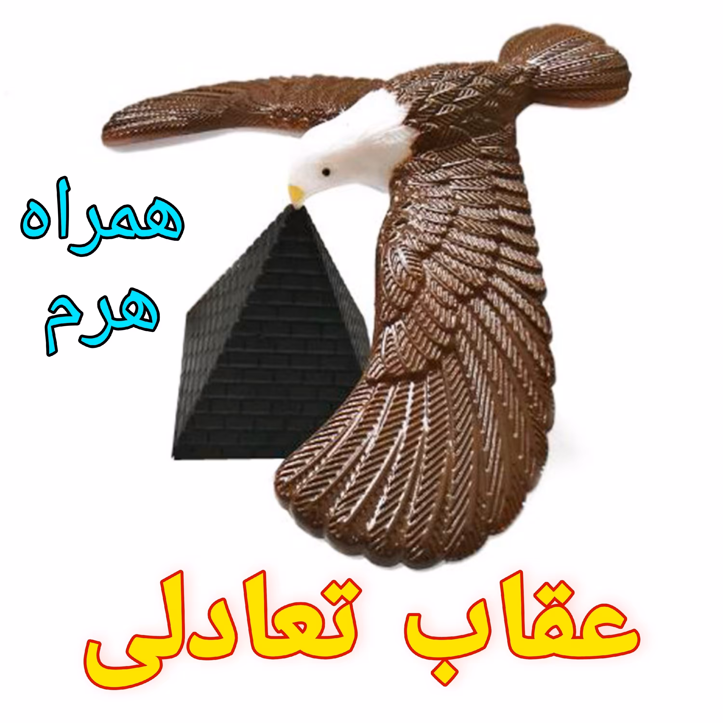 عقاب تعادلی اسباب بازی عقاب تعادلی همراه هرم