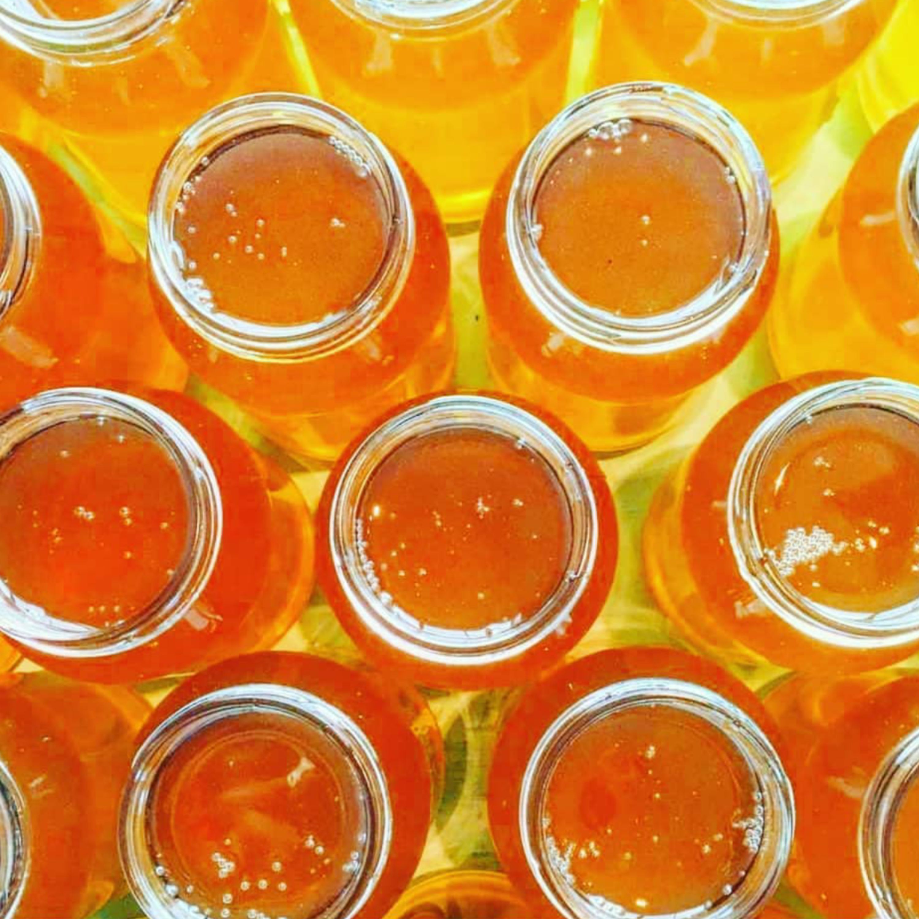 عسل طبیعی چند گیاه  لاله زار کرمان خرید مستقیم از تولید کننده