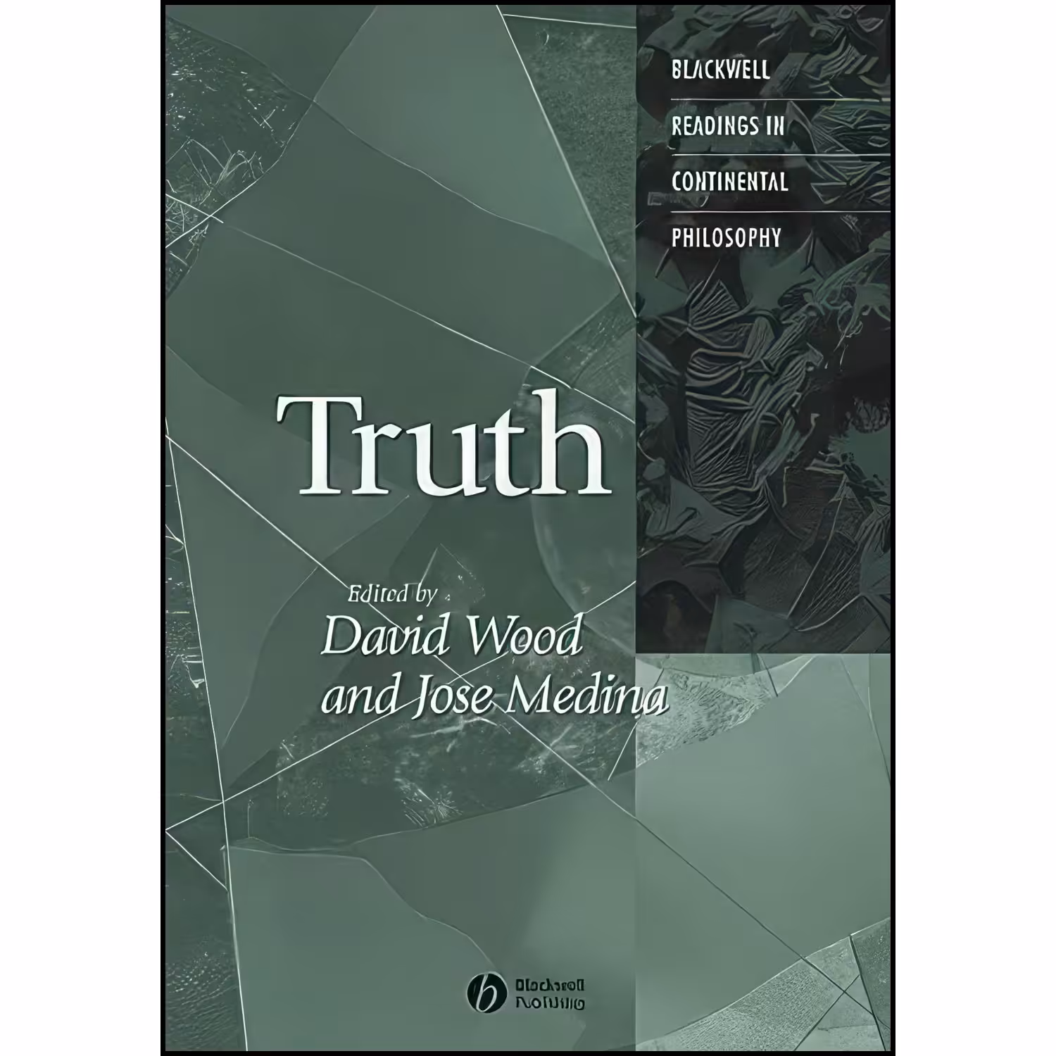 کتاب زبان اصلی Truth اثر David Wood and Joseacute Medina