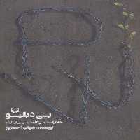 پی دبلیو (خاطرات شمس الله شمسینی غیاثوند)