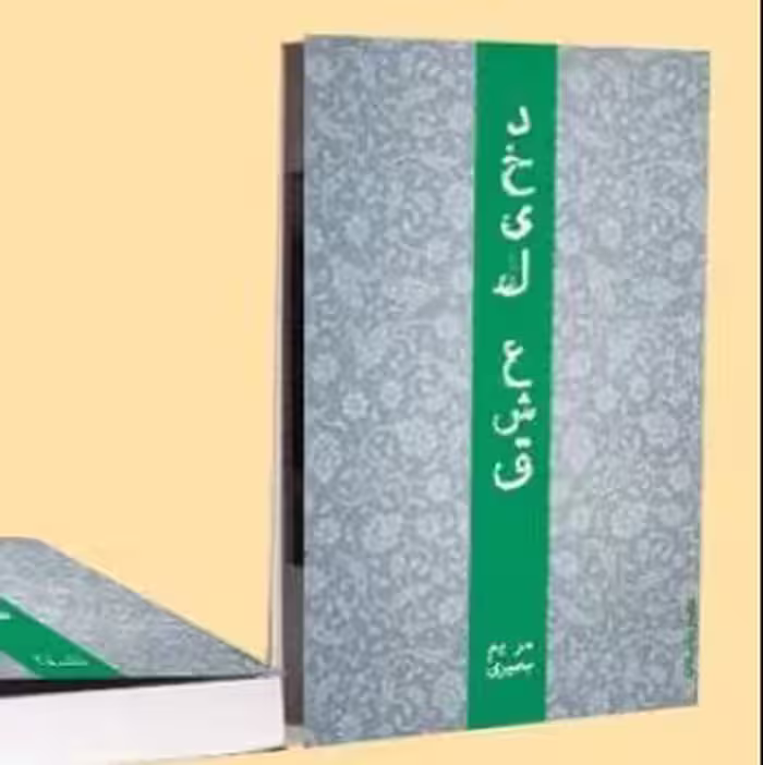 کتاب دخیل عشق (اثر مریم بصیری انتشارات عصر داستان)