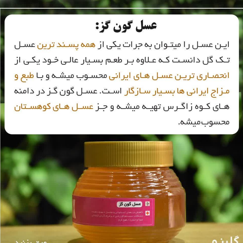 عسل گون گز یک کیلویی