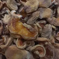 برگه زردآلو  خشک  ممتاز  با رنگ طبیعی سایز متوسط آفتابی  500 گرمی