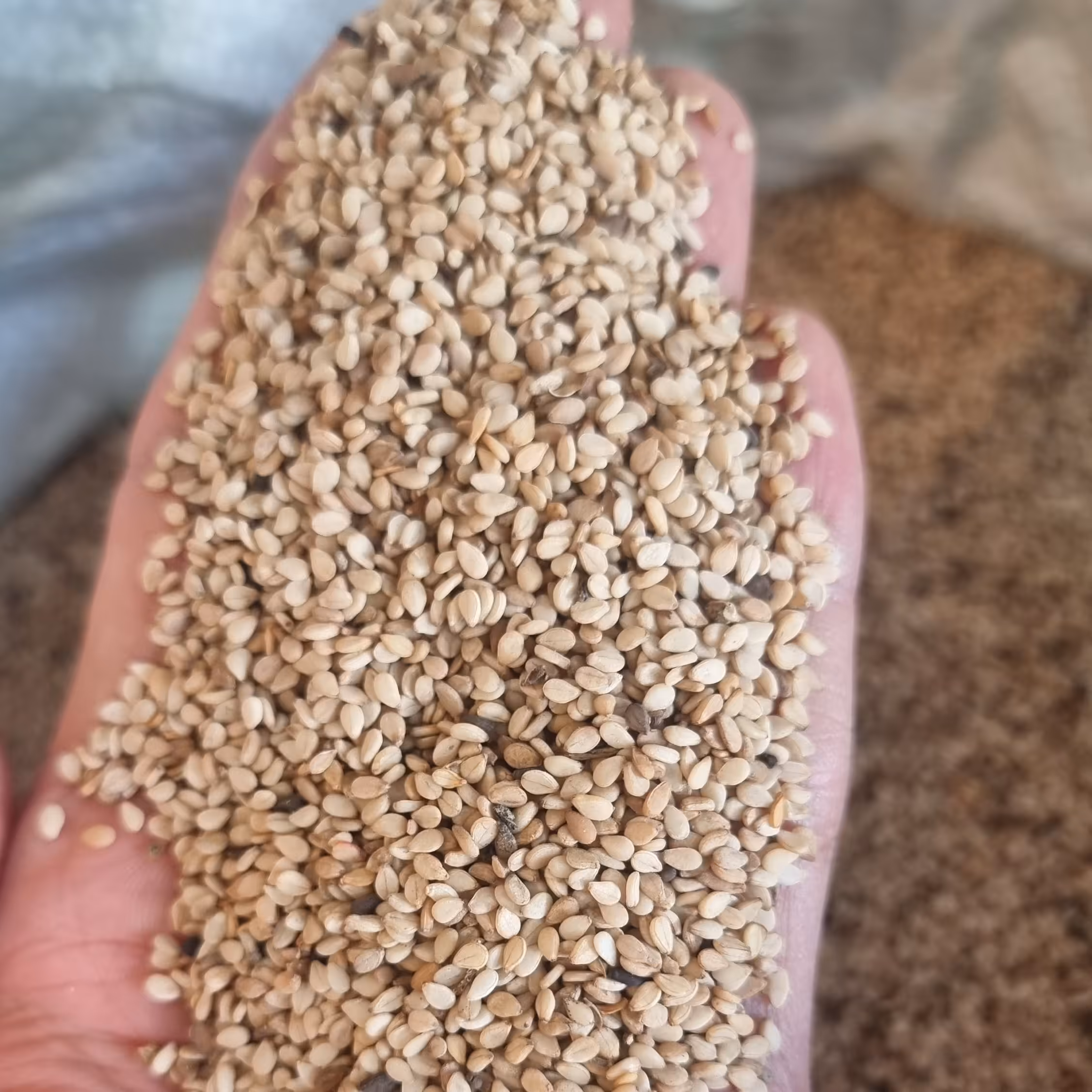 کنجد قهوه ای باپوست درجه1 (1کیلویی)