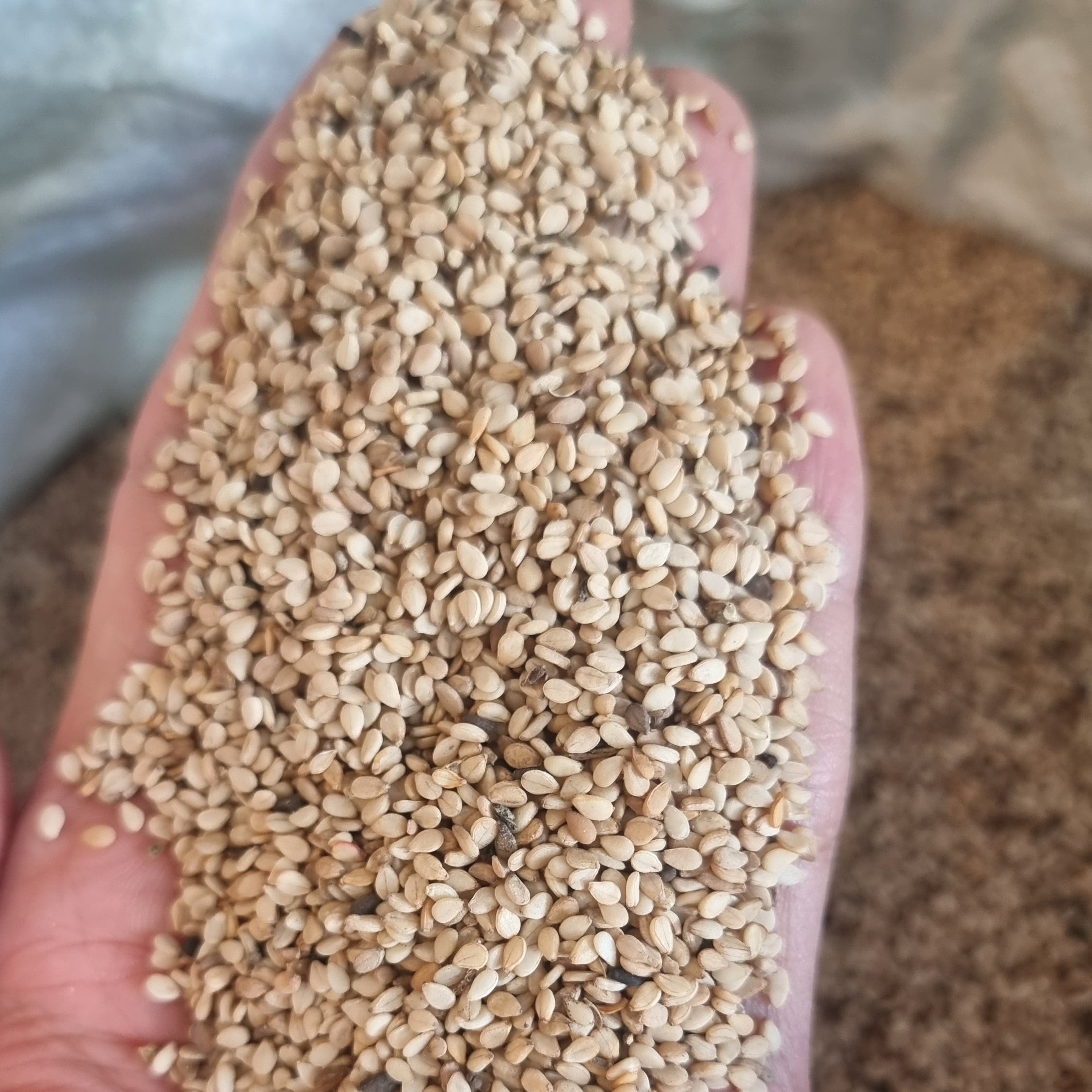 کنجد قهوه ای باپوست درجه1 (1کیلویی)