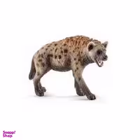 کفتار اشلایش کد 14735