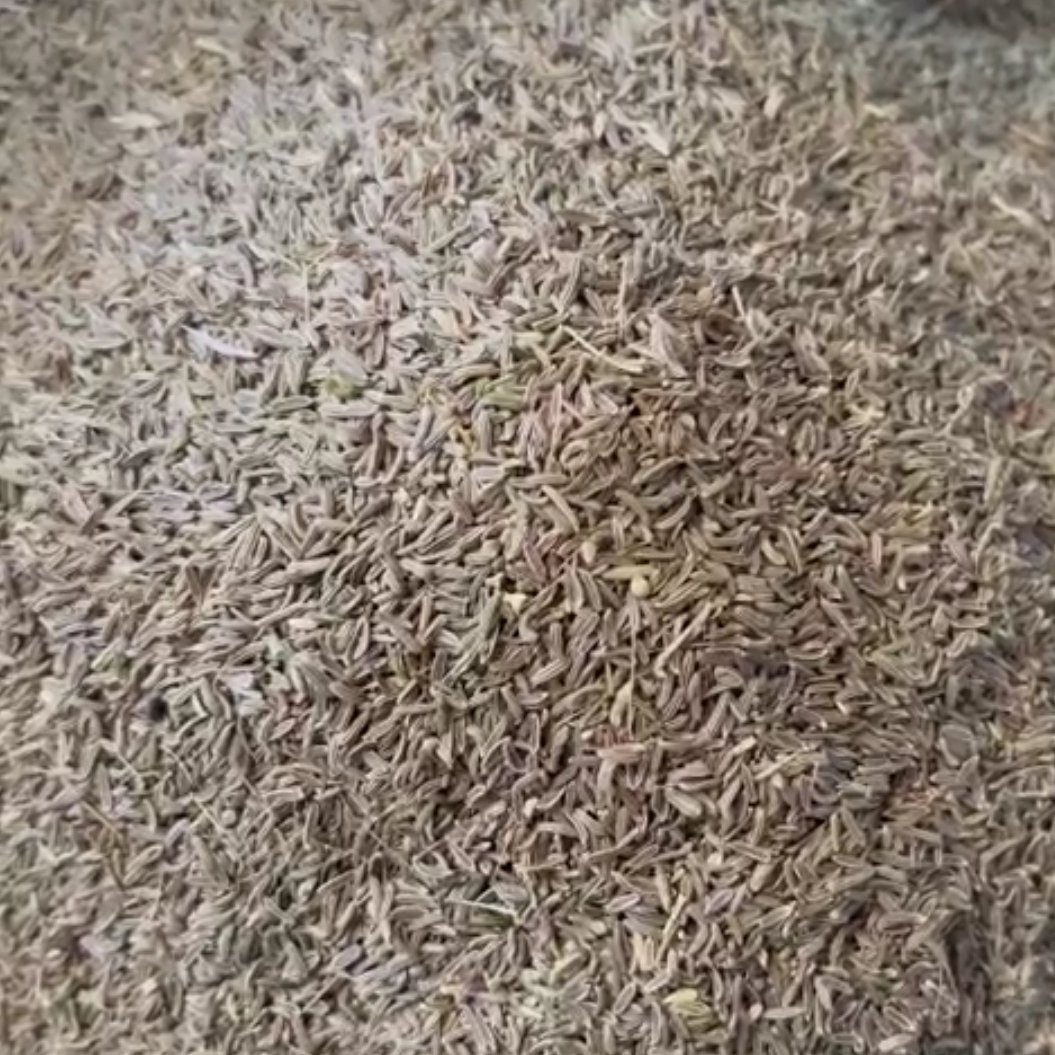 زیره سیاه (100 گرمی)