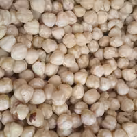 مغز فندق پوست کنده خام  درشت 1401  درجه یک کیفیت خیلی عالی ترد وخوشمزه ارسال رایگان 