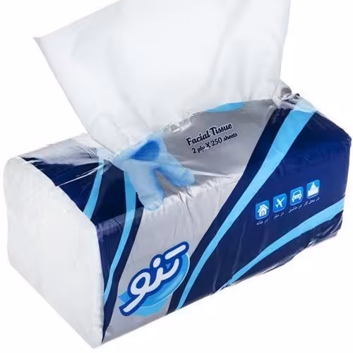 دستمال تنو فله 500برگ