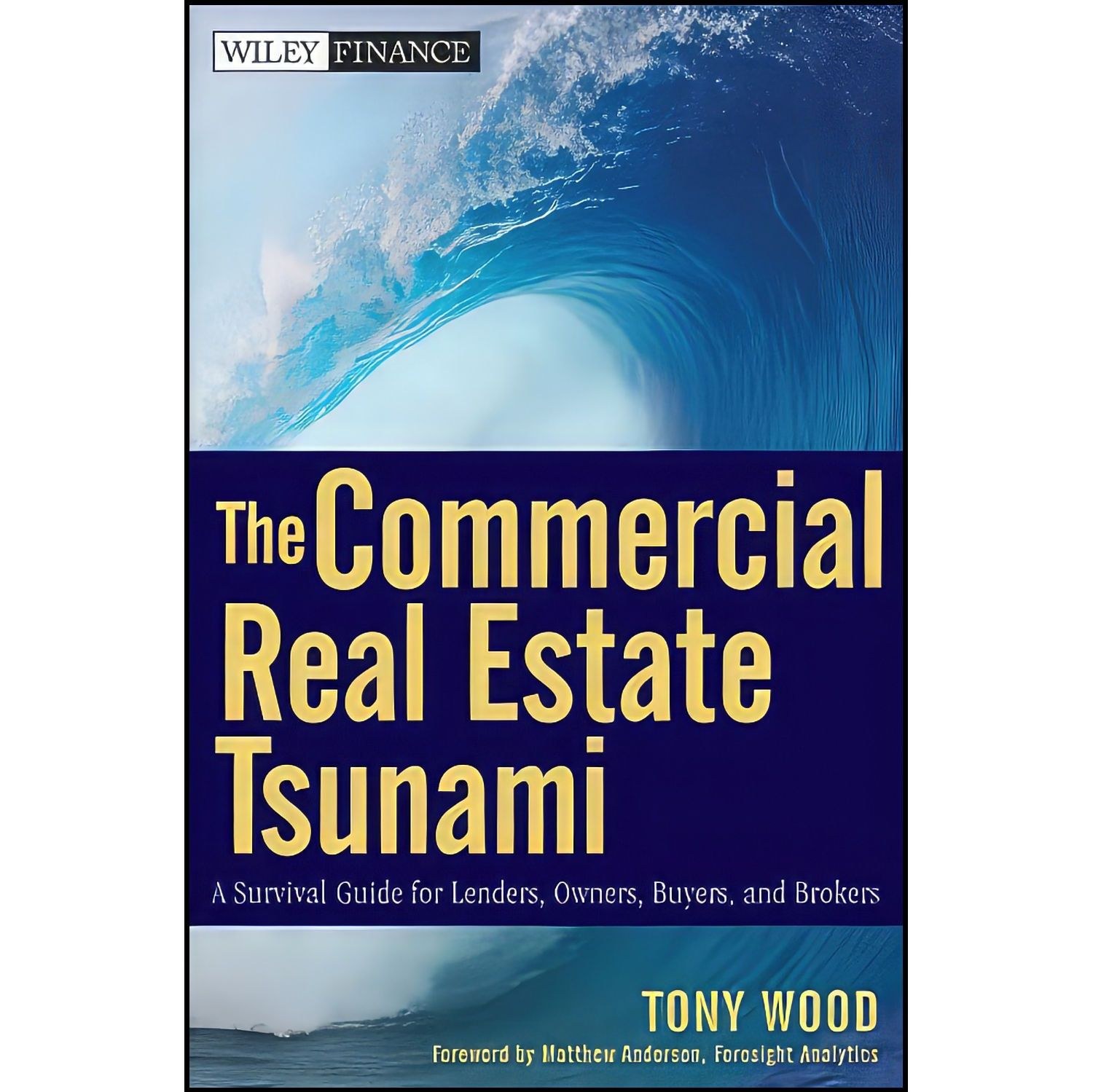 کتاب زبان اصلی The Commercial Real Estate Tsunami