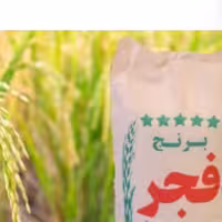 برنج فجر سوزنی گرگان