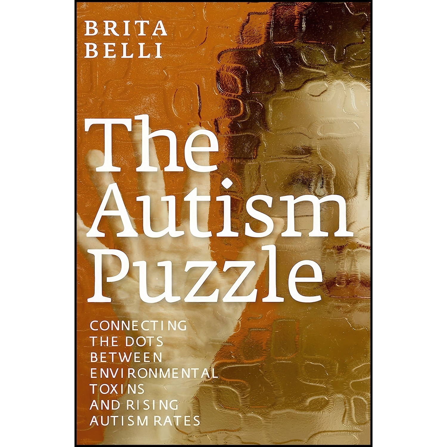 کتاب زبان اصلی The Autism Puzzle اثر Brita Belli and Brita Belli