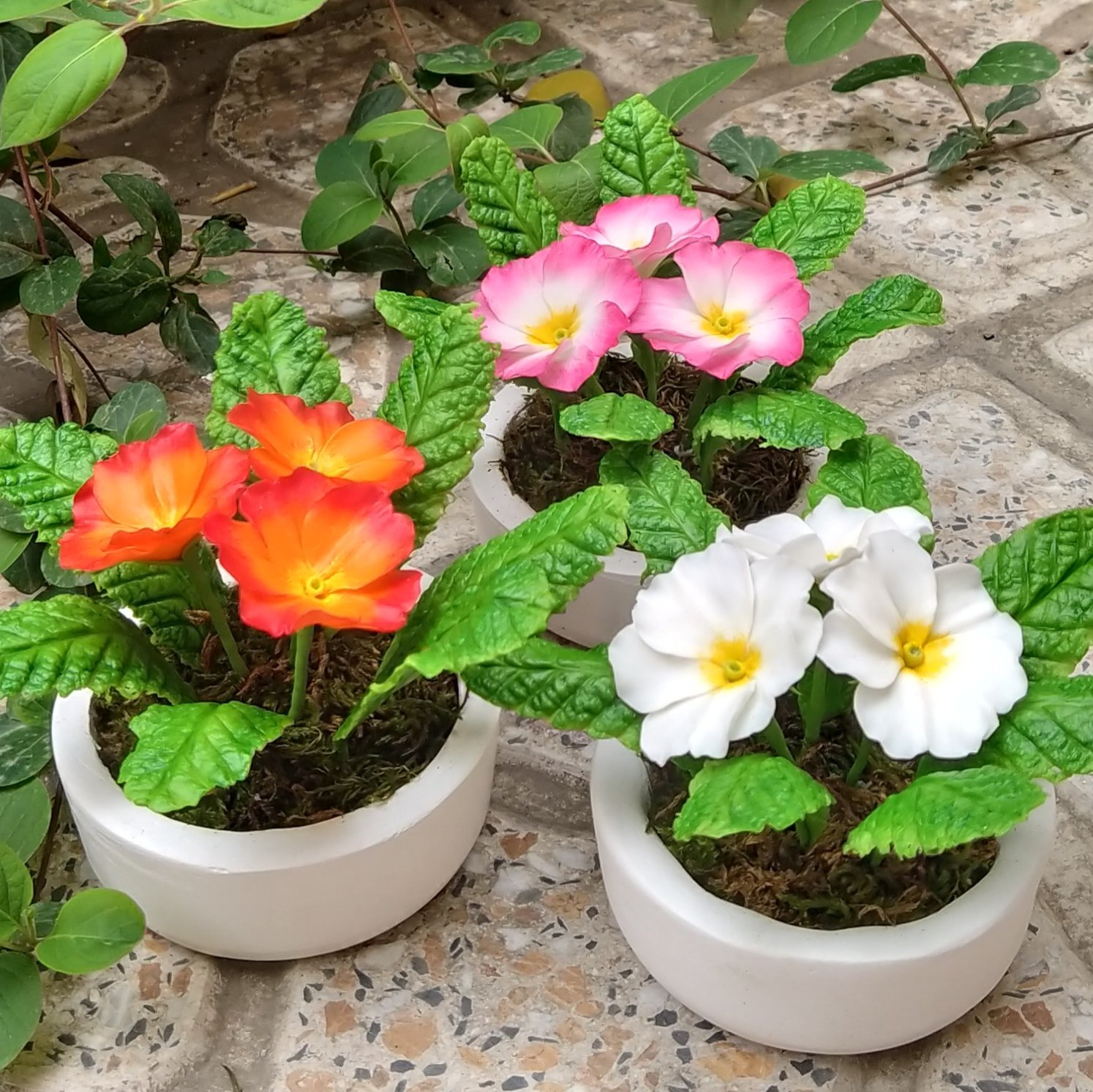 گلدان پامچال بهاری کد 9833