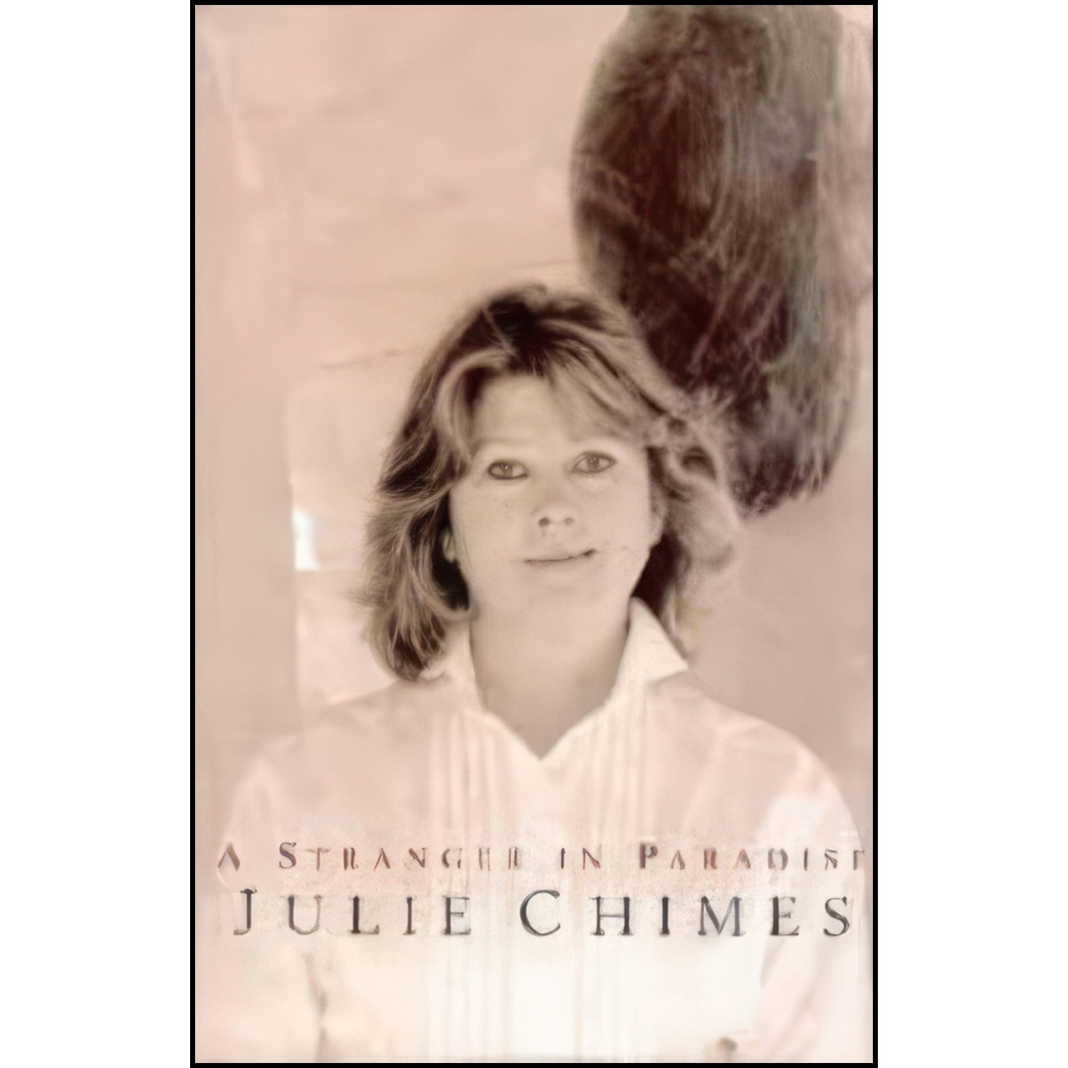 کتاب زبان اصلی A Stranger in Paradise اثر Julie Chimes