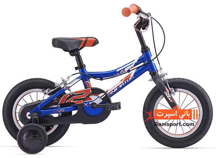 دوچرخه بچگانه Giant Animator FW 12 2016