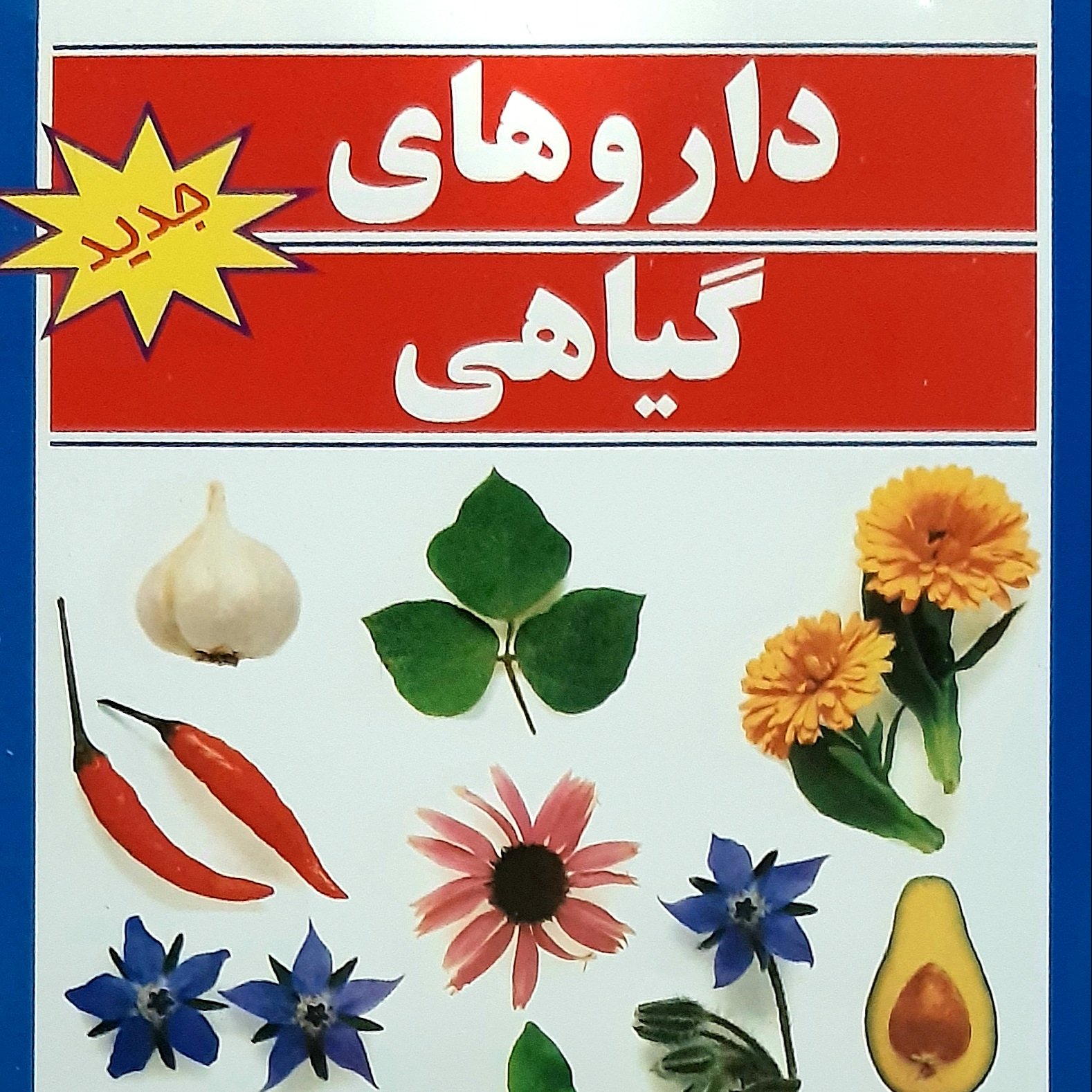 کتاب داروهای گیاهی / گیاهان دارویی / درمانهای گیاهی