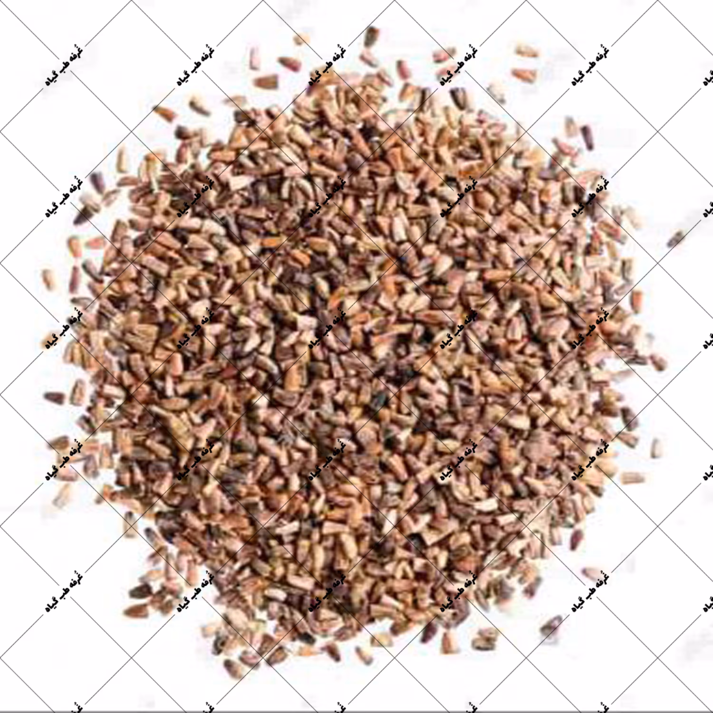 تخم کاسنی 100 گرمی - بذر کاسنی درجه1 