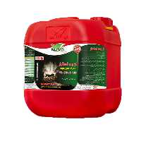 ان پی استارتر