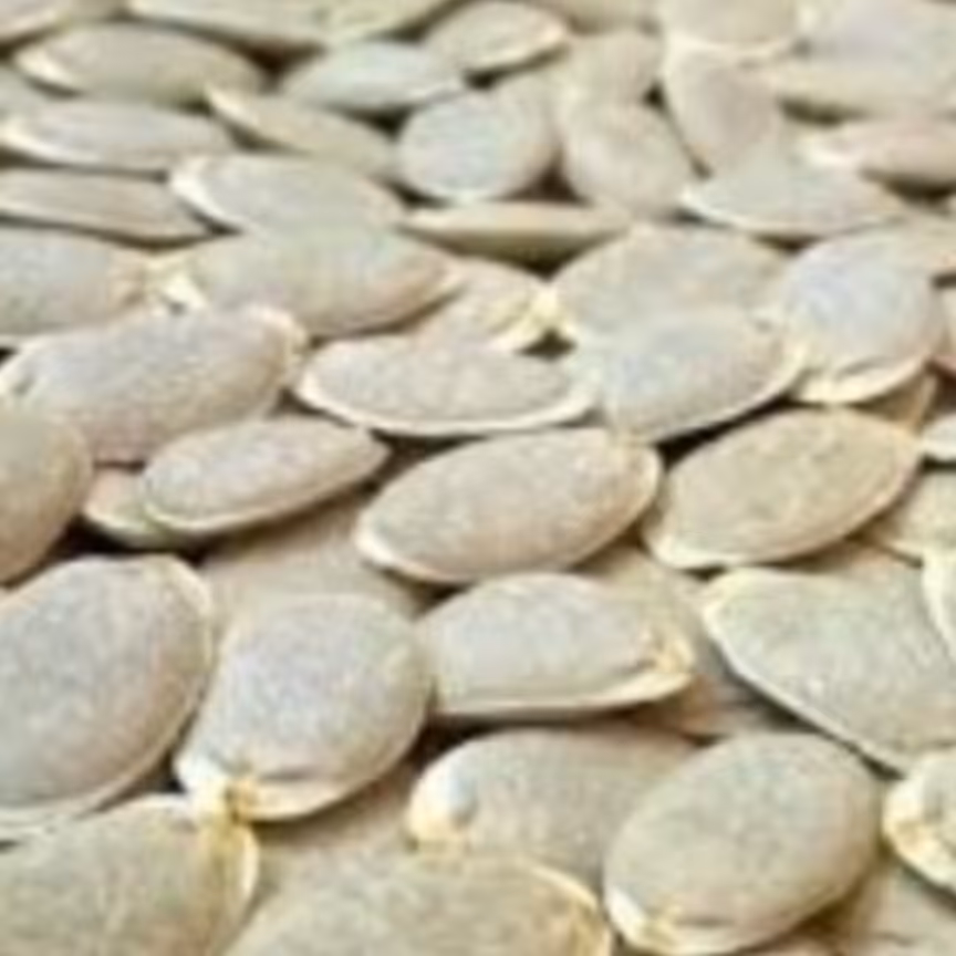 بذر گیاه ارزشمند لوفا 100 عددی کاکتوس طلایی 