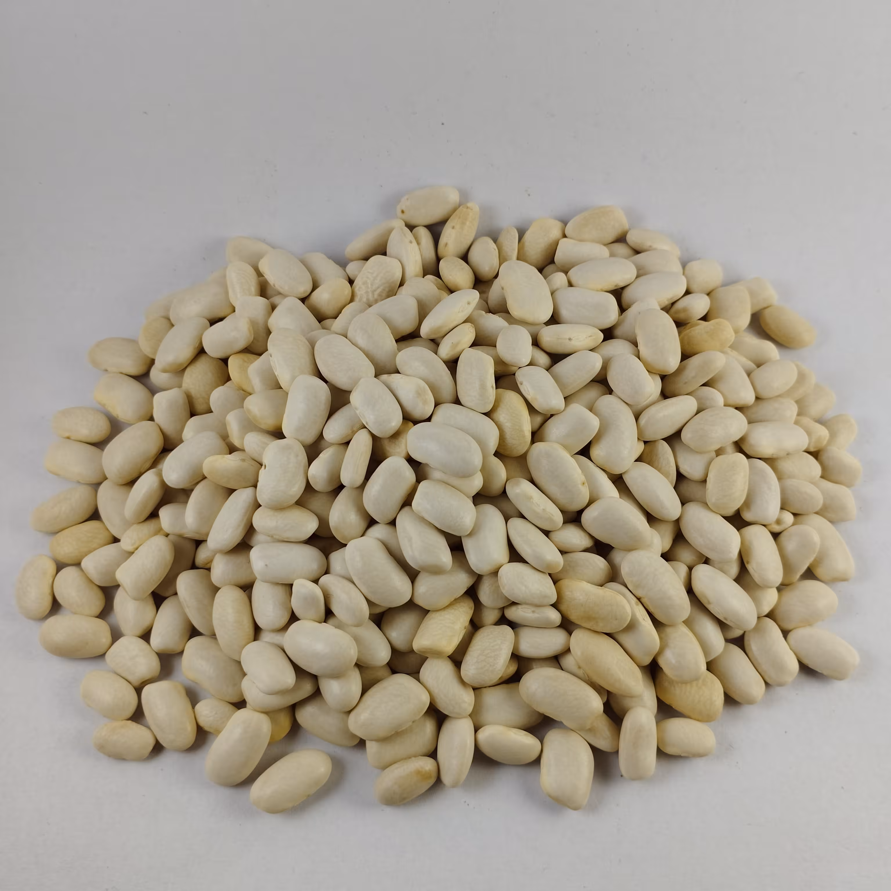 لوبیا سفید یک کیلویی