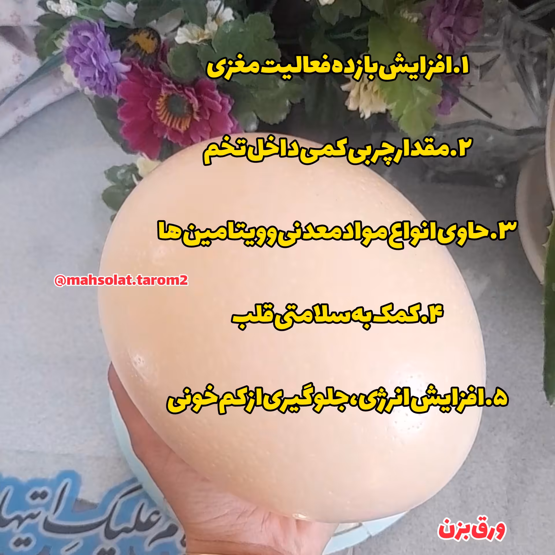 تخم شترمرغ