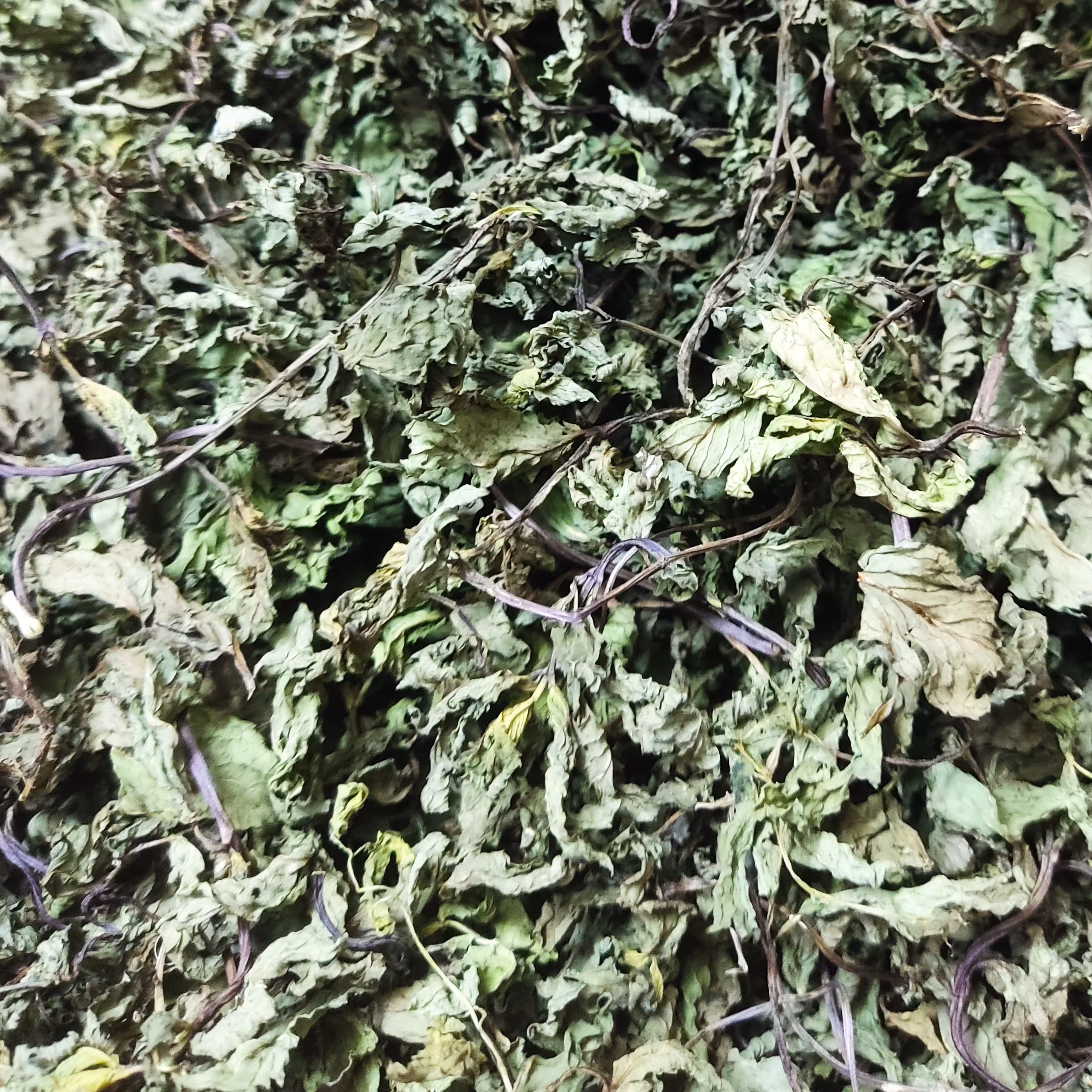 نعنا خشک معطر خانگی