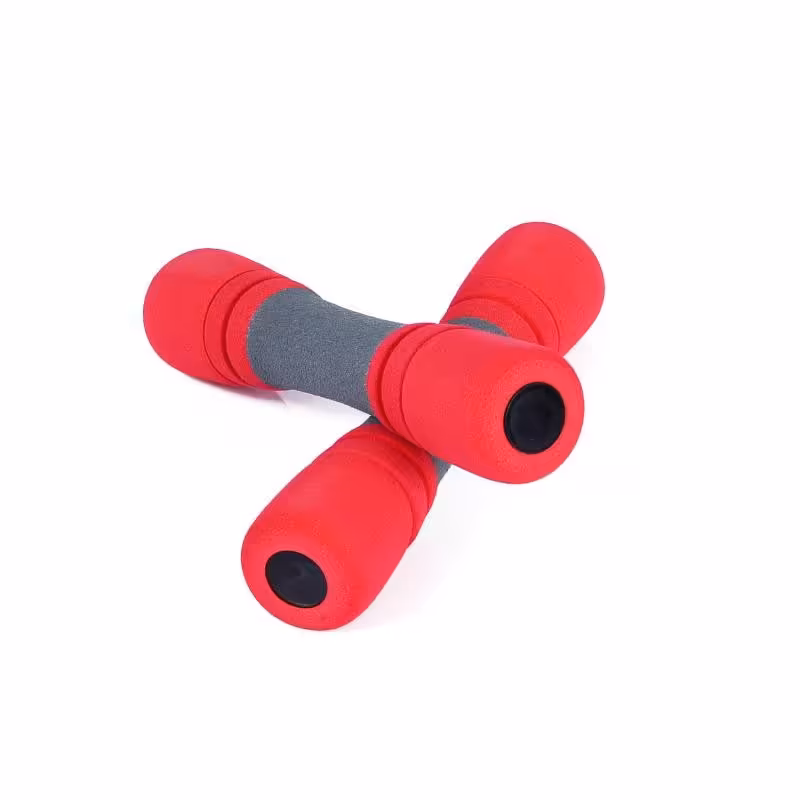 دمبل بانوان 1.6 کیلوگرم VZ-2506