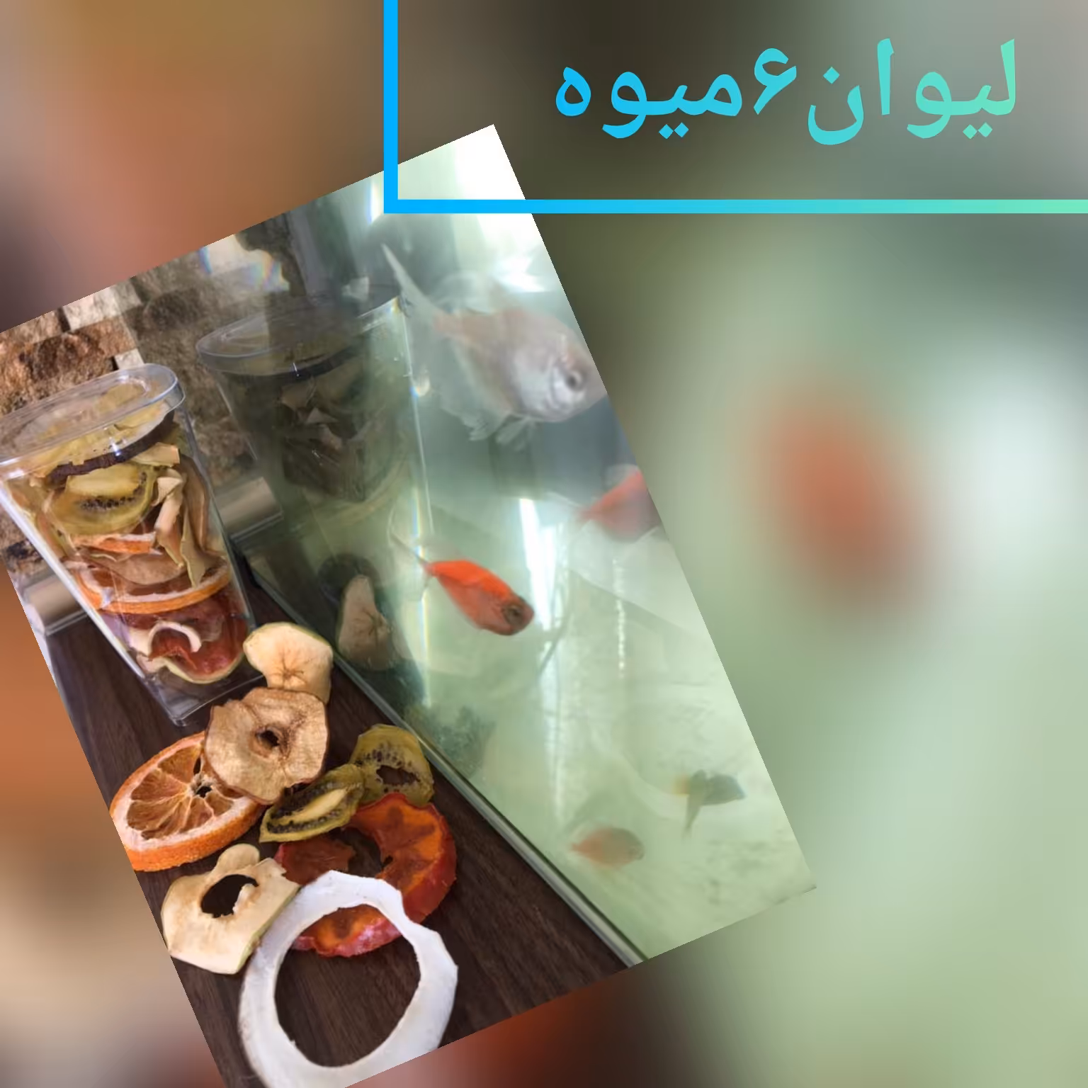 لیوان 6میوه شامل نارگیل خرمالوکیوی آناناس گلابی پرتقال