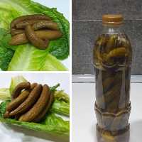 خیارشور خانگی 