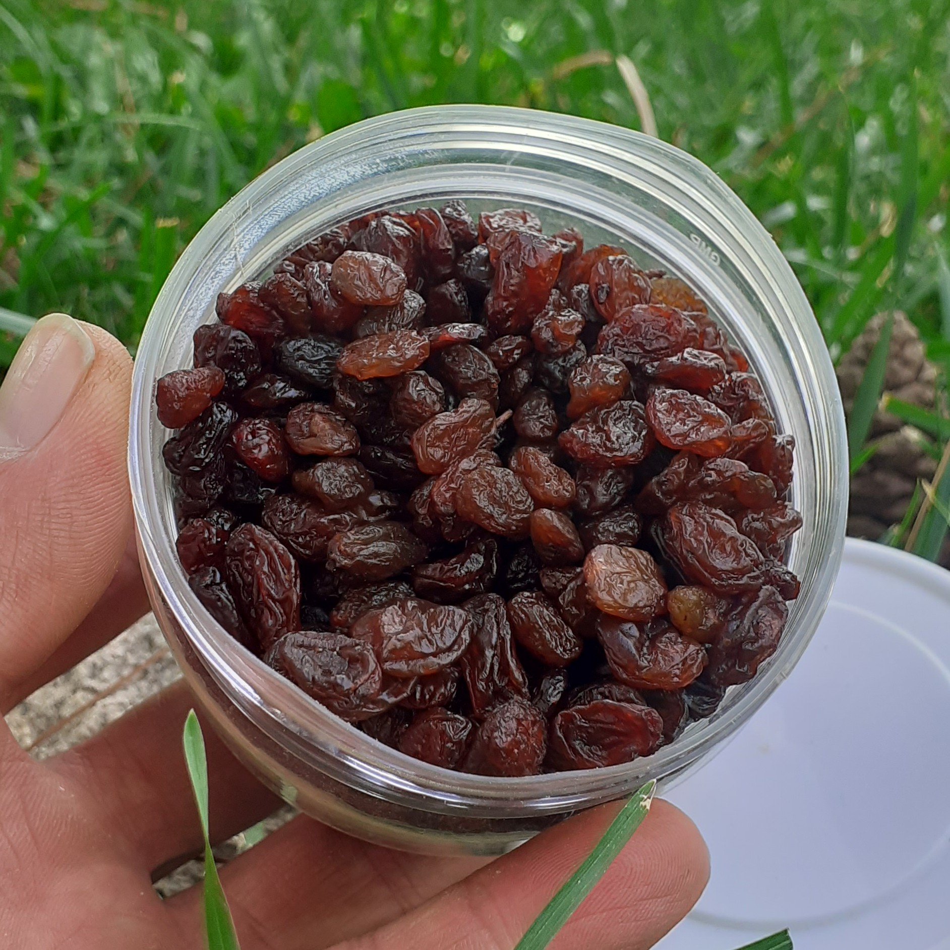 کشمش پلویی آفتابی 200 گرمی