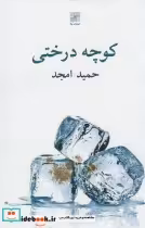 قیمت و خرید کتاب کوچه درختی نشر نیلا اثر حمید امجد | ایده بوک