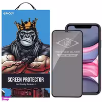 محافظ صفحه نمایش حریم شخصی اپیکوی مدل PvSight مناسب برای گوشی موبایل اپل iPhone 11 / Xr
