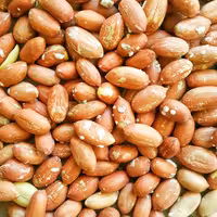 بادام زمینی (10 کیلو) بوداده آستانه