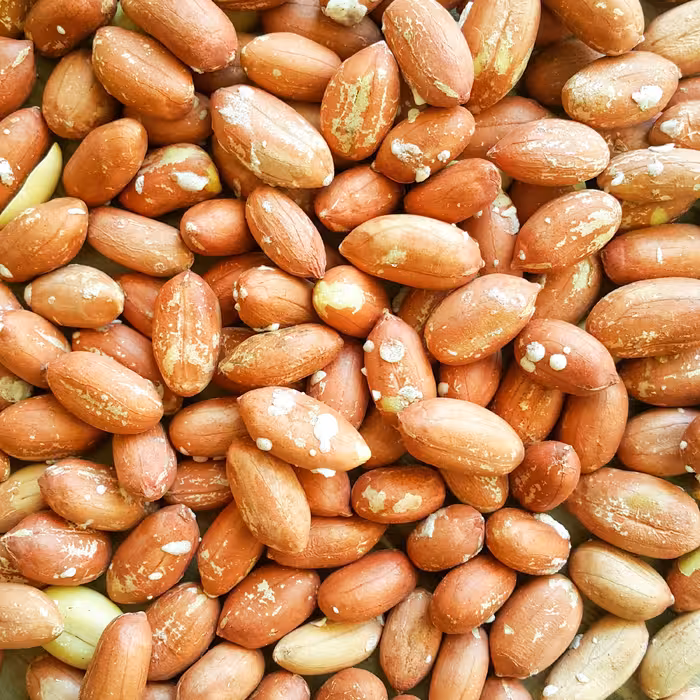 بادام زمینی (10 کیلو) بوداده آستانه