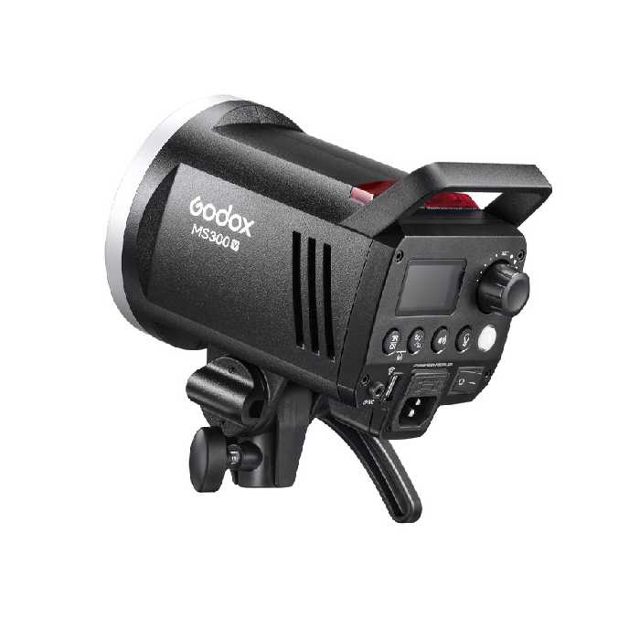 فلاش گودکس Godox MS 300-V Studio Flash Monolight