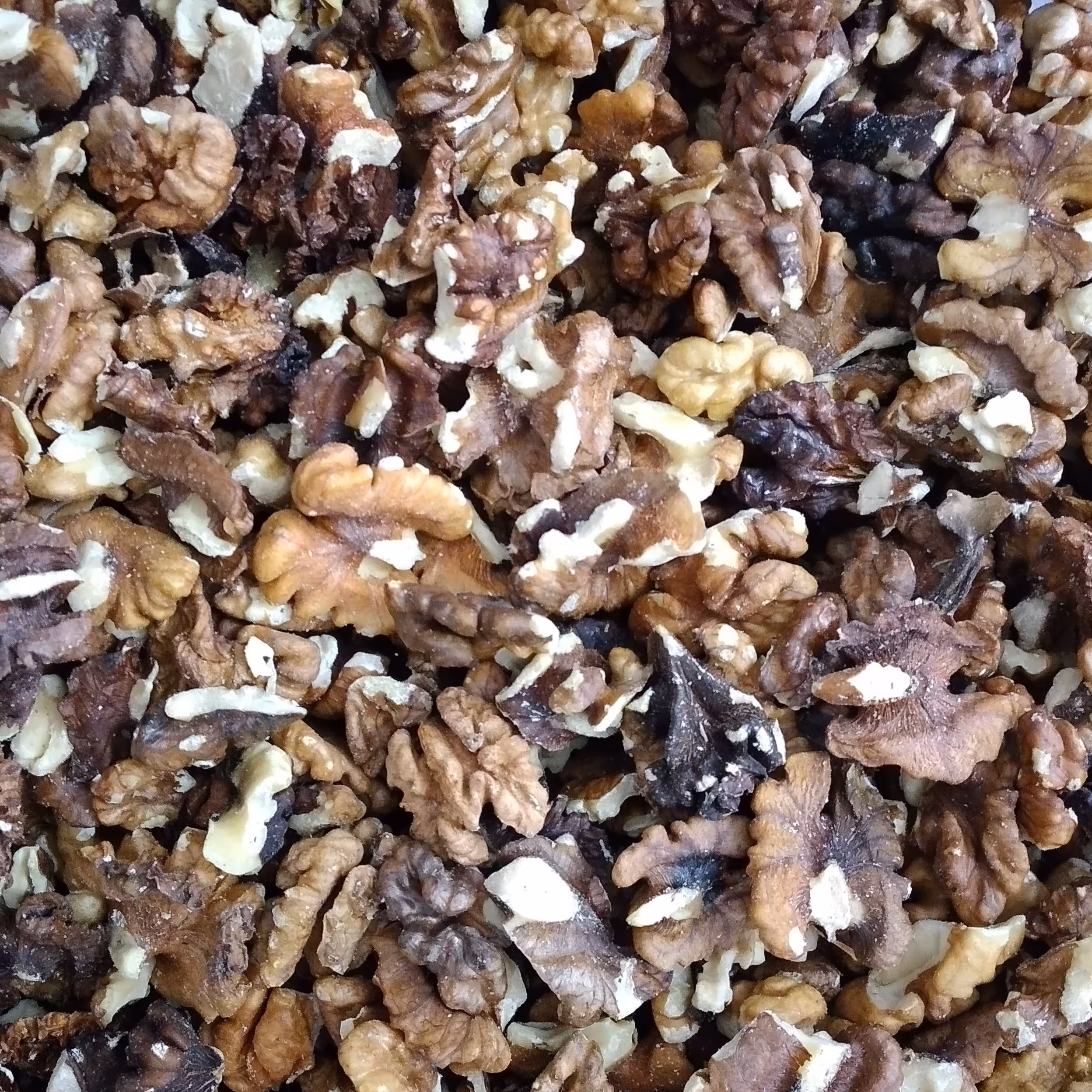 مغز فسنجونی و خرمایی گردو درجه یک سوپر