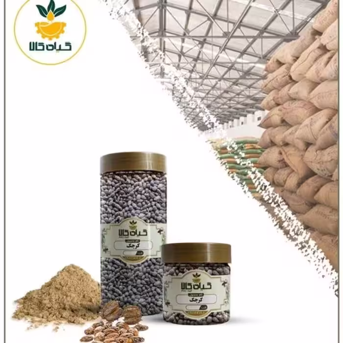 دانه کرچک با کیفیت عالی، بار امسالی و تازه(65گرمی )      