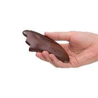 چوب استیک گواشا